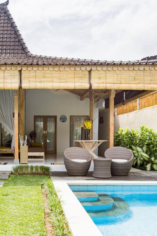 Villa Orked 1 Σεμινιάκ Εξωτερικό φωτογραφία